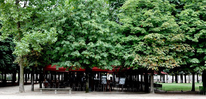 paris-secrets-marronier