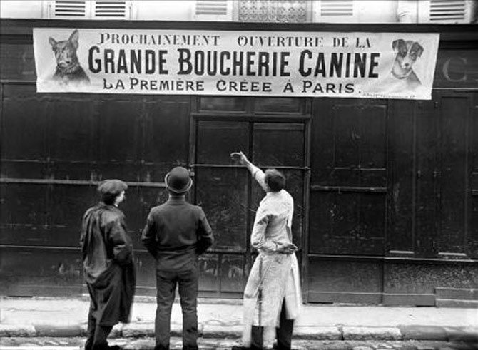 zoo-Grande_Boucherie_Canine_a_Paris