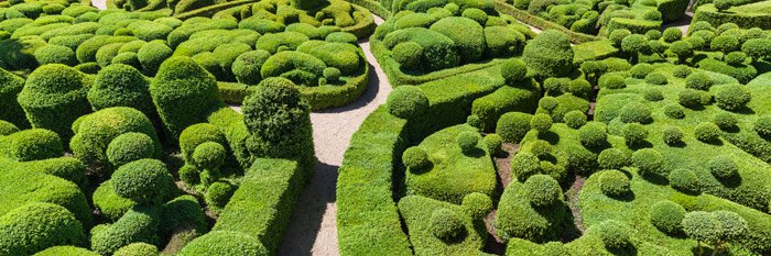 marqueyssac-dedale-de-buis