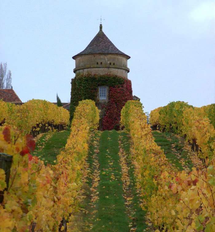 pigeonnier8